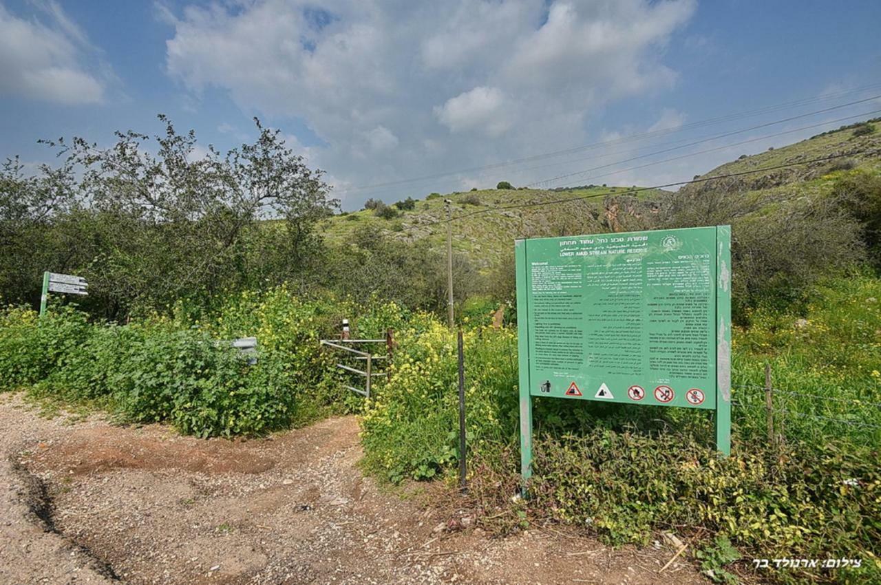 Mul Kinneret Livnim Kültér fotó