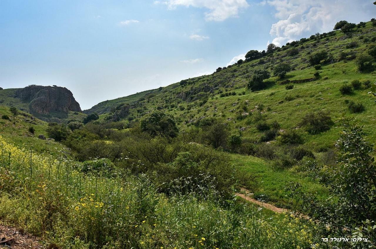 Mul Kinneret Livnim Kültér fotó