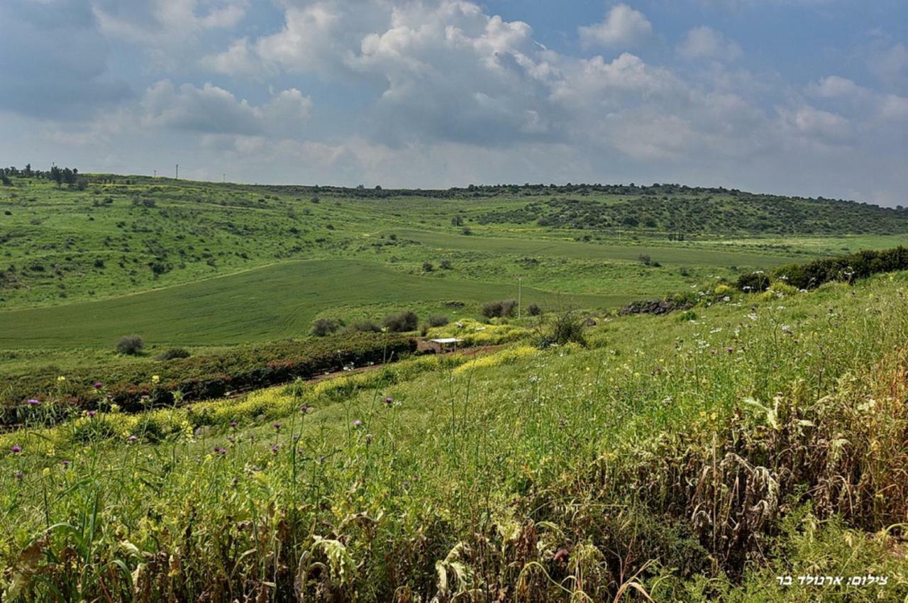 Mul Kinneret Livnim Kültér fotó