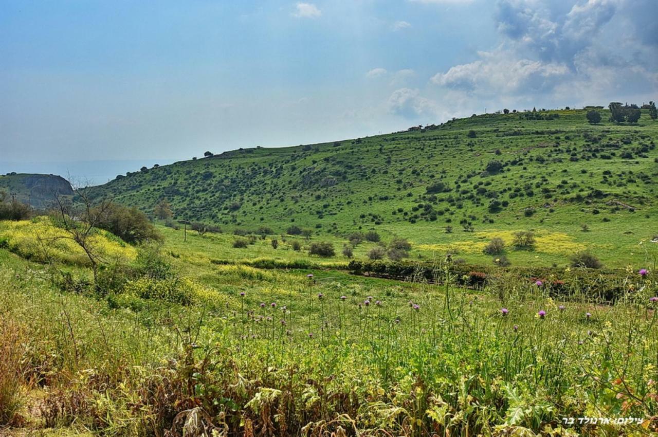 Mul Kinneret Livnim Kültér fotó