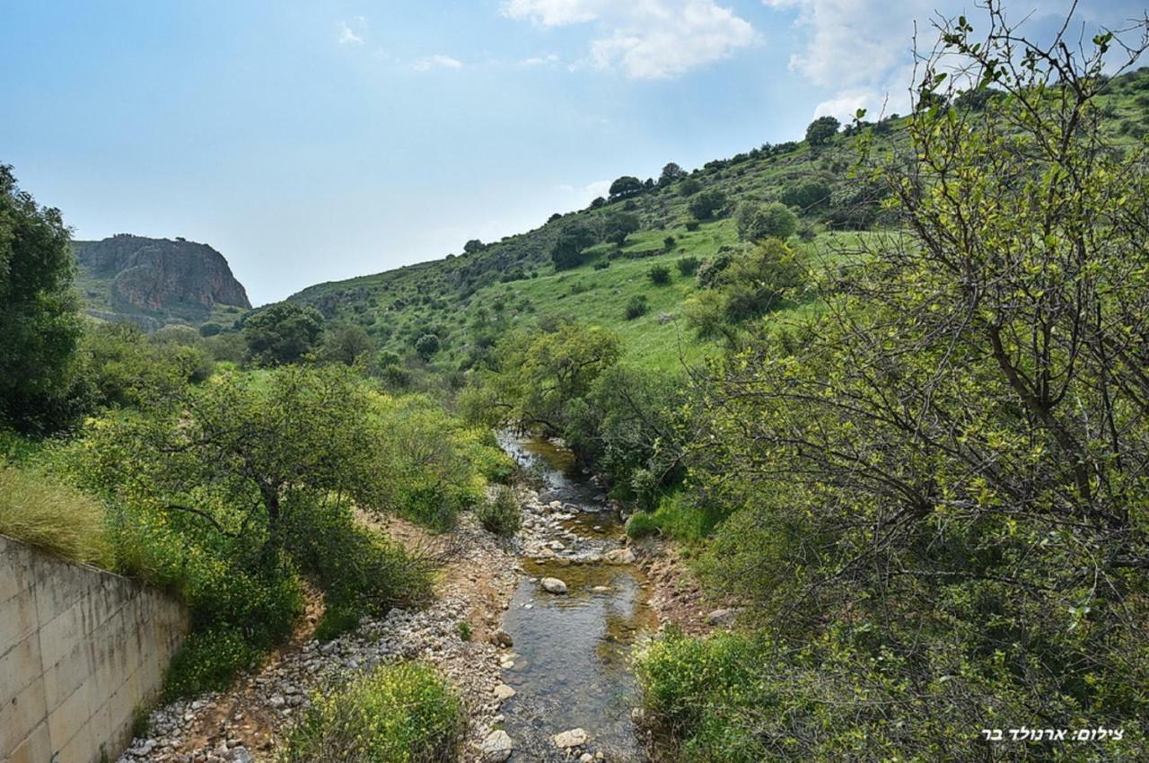 Mul Kinneret Livnim Kültér fotó